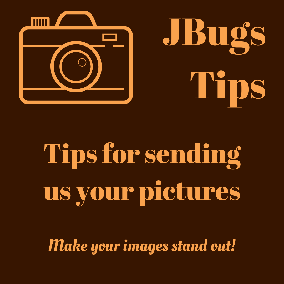 Tips for sending us your pictures