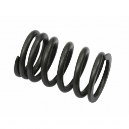 VW Valve Spring - Intake or Exhaust