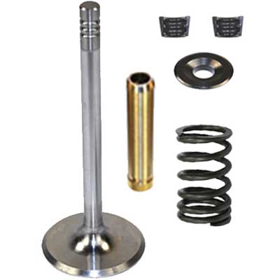 VW Bug Intake & Exhaust Valves, Springs